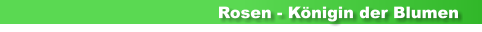 Rosen - Königin der Blumen