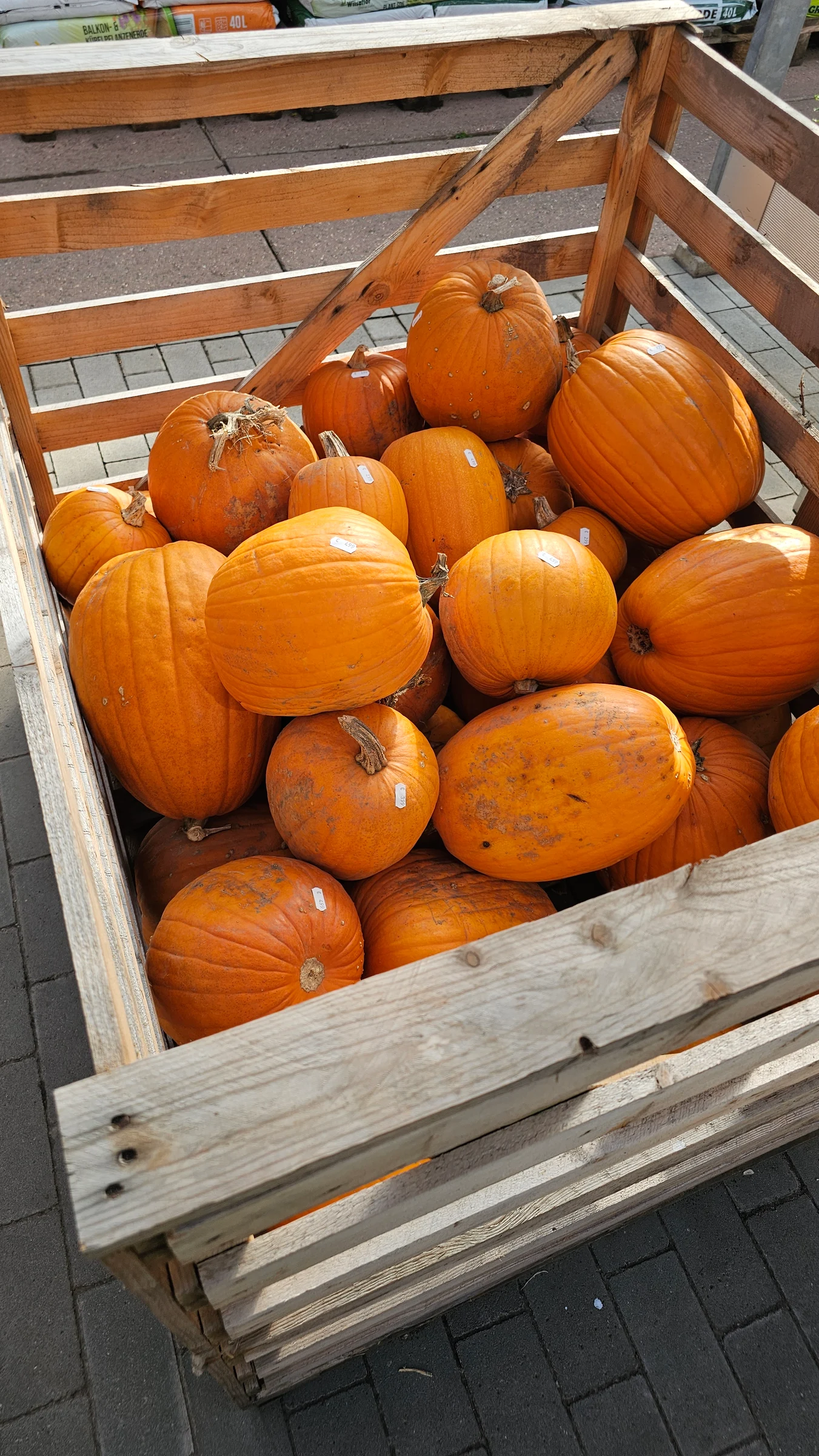 Halloween Kürbis 30cm – Produktfoto 1
